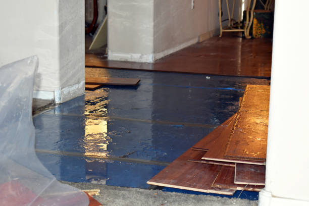 Professional Sewage Cleanup technician working in Leander, TX